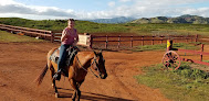 Cowboy Trail Rides thumb 9